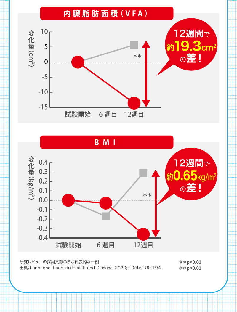 エラグ酸の臨床試験結果　内臓脂肪面積（VFA）　12週間で約19.2cm2の差　BMI　12週間で約0.65㎏/ｍ2の差