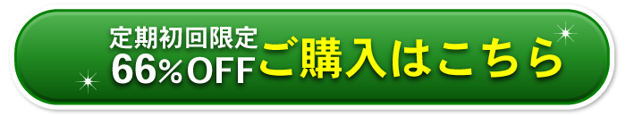 初回限定66％OFF！ご購入はこちら