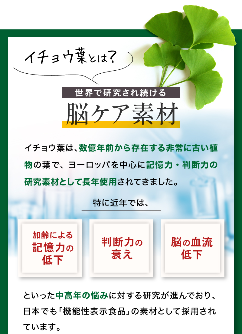 イチョウ葉って？