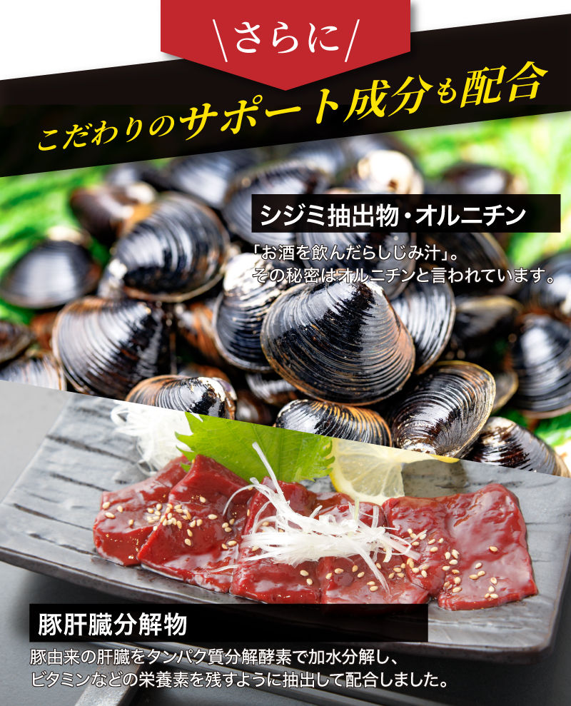 さらにサポート成分をW配合

【サポート成分】
◎シジミ抽出物・オルニチン：
「お酒を飲んだらしじみ汁」。
その秘密はオルニチンと言われています。
◎豚肝臓分解物：
豚由来の肝臓をタンパク質分解酵素で加水分解し、
ビタミンなどの栄養素を残すようにエキス抽出しました。
消化吸収しやすく、効率よく栄養を取り入れられます。