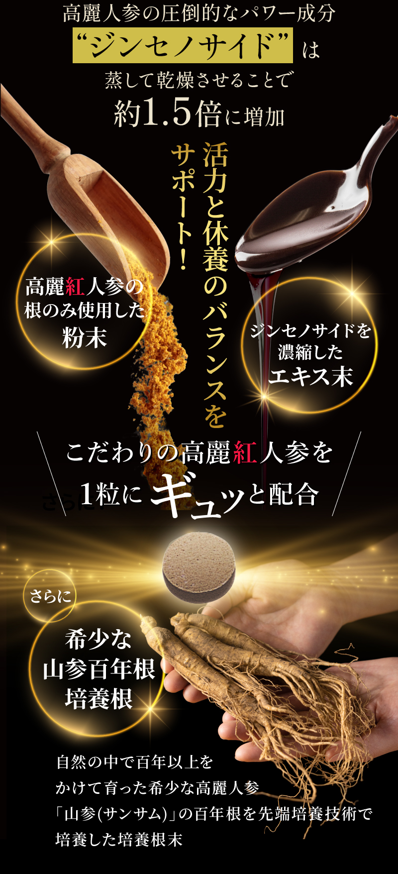 高麗人参の圧倒的なパワー成分
“ジンセノサイド” は
蒸して乾燥させることで
約1.5倍に増加 活力と休養のバランスを
サポート！