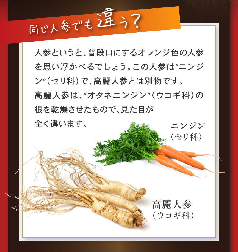同じ人参でも違う？
					  人参というと、普段口にするオレンジ色の人参を思い浮かべるでしょう。この人参は“ニンジン”（セリ科）で、高麗人参とは別物です。
高麗人参は、”オタネニンジン”（ウコギ科）の根を乾燥させたもので、見た目が
全く違います。