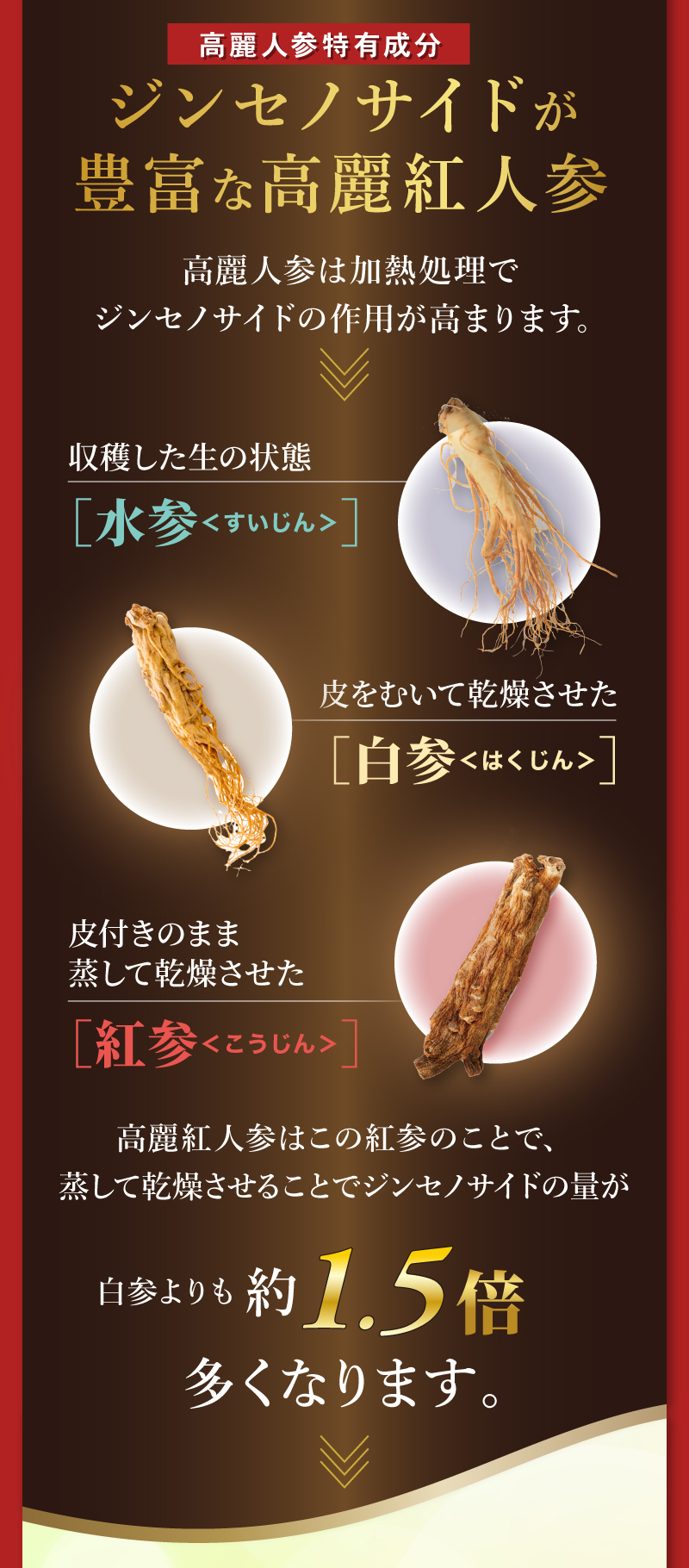 高麗人参特有成分　ジンセノサイドが
豊富な高麗紅人参　高麗人参は加熱処理で
ジンセノサイドの作用が高まります。