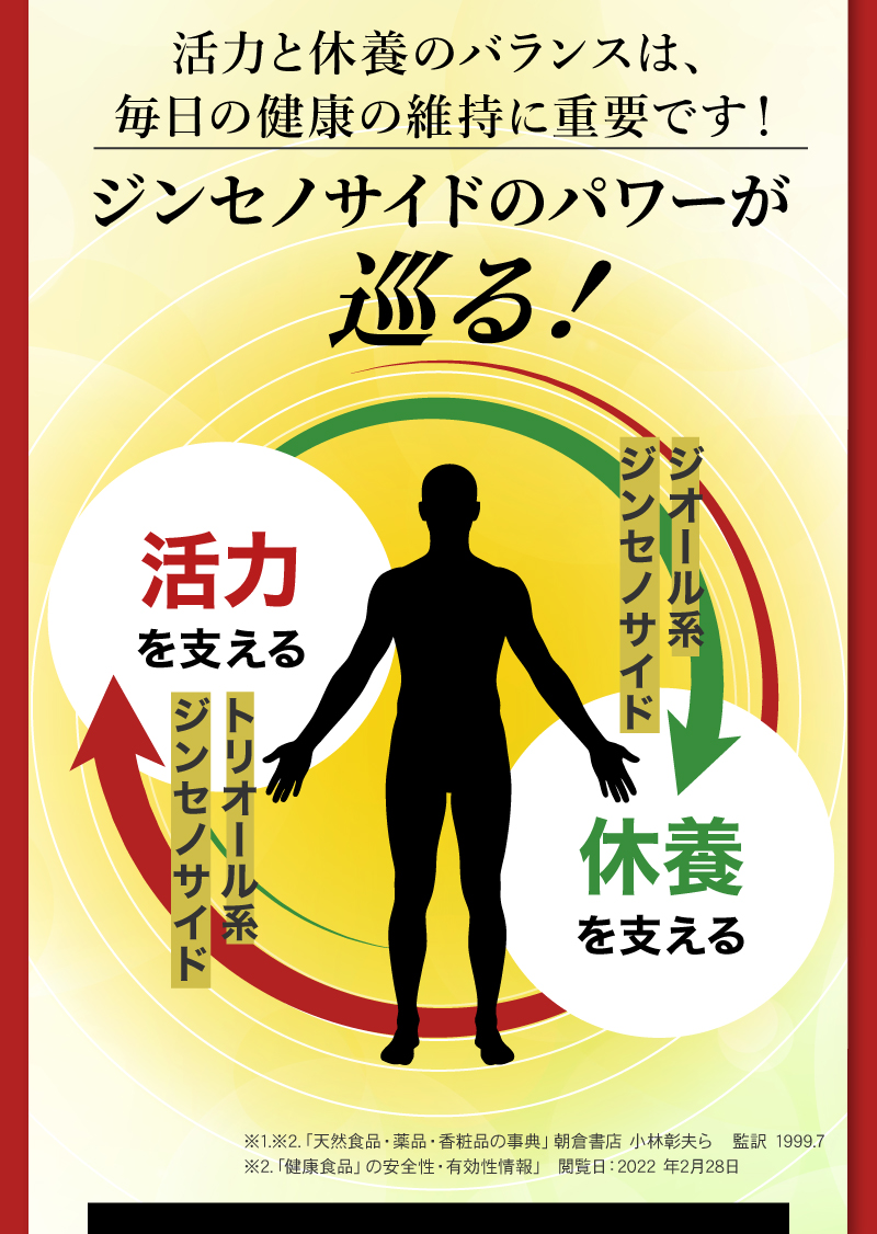 活力と休養のバランスは、
毎日の健康の維持に重要です！ジンセノサイドのパワーが巡る![活力を支える]：トリオール系ジンセノサイド
      ⇵
[休養を支える]：ジオール系ジンセノサイド
