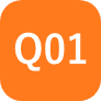 Q01