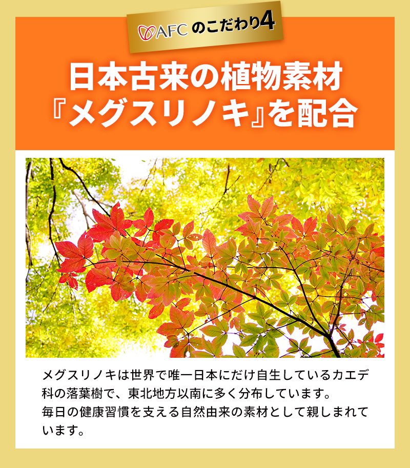 日本古来の植物素材『メグスリノキ』を配合。

メグスリノキは世界で唯一日本にだけ自生しているカエデ科の落葉樹で、東北地方以南に多く分布しています。
毎日の健康習慣を支える自然由来の素材として親しまれています。