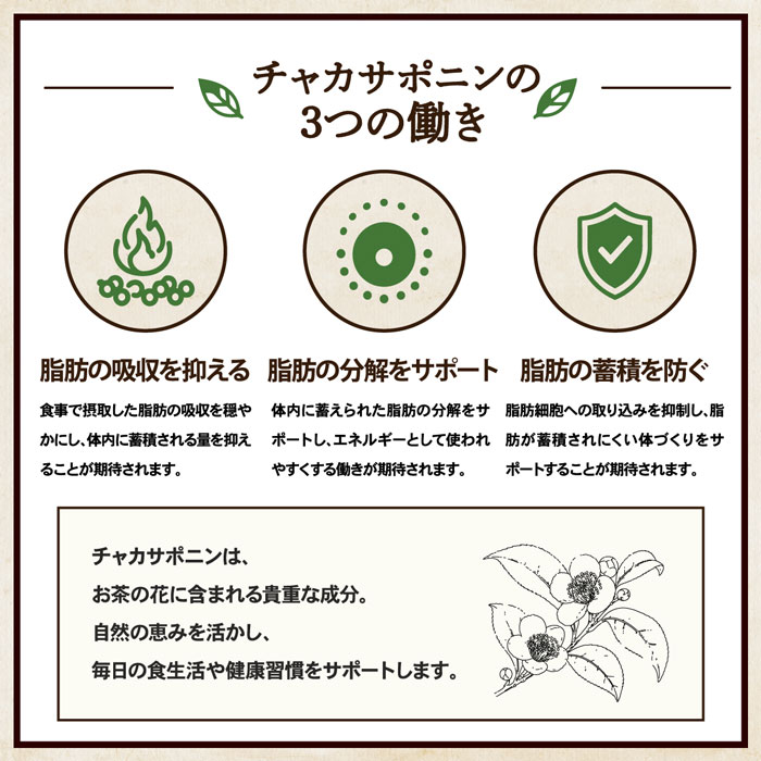 チャカサポニンの3つ働きについて