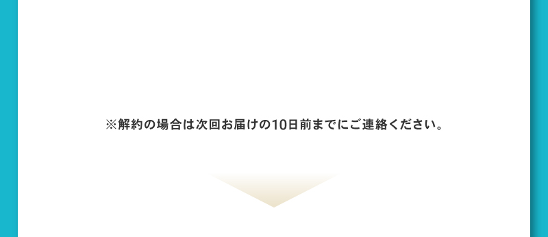 定期便 初回限定60％OFF