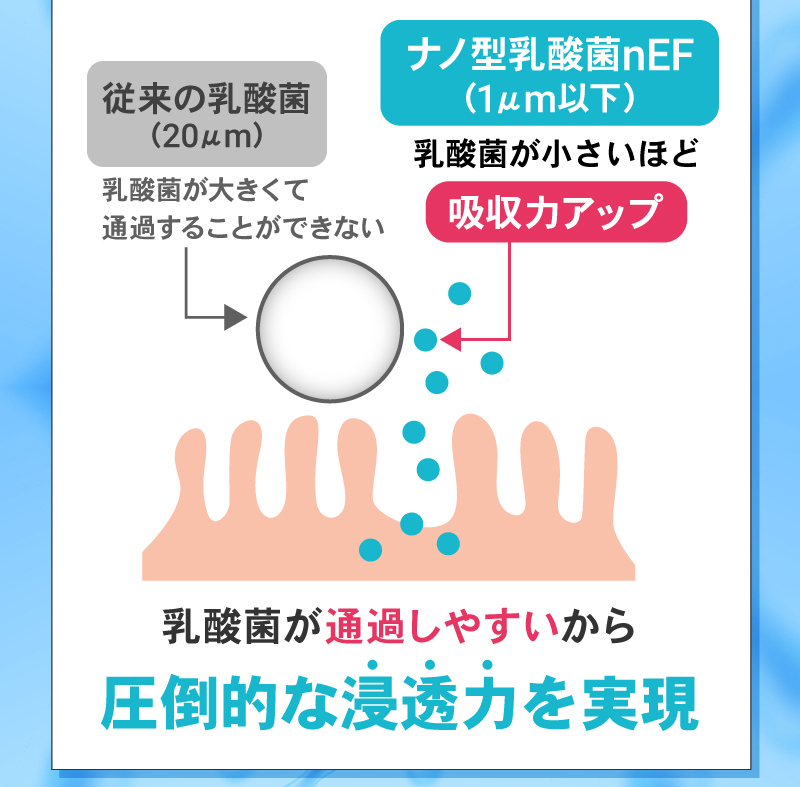 機能性関与成分ナノ型乳酸菌nEFとは？