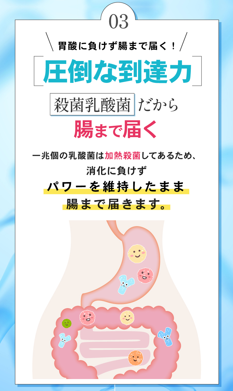 機能性関与成分ナノ型乳酸菌nEFとは？