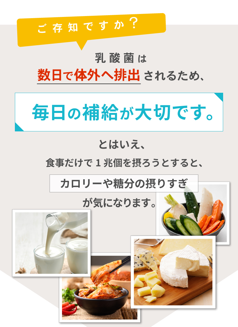 殺菌乳酸菌だから腸まで届く

一兆個の乳酸菌は加熱殺菌してあるため、消化に負けず腸まで届きます。