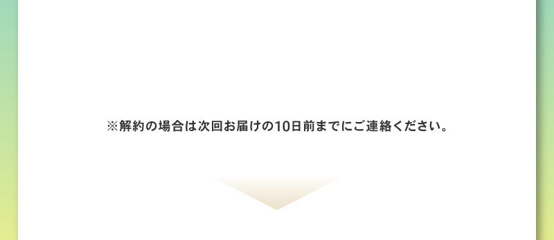 定期便 初回限定60％OFF 