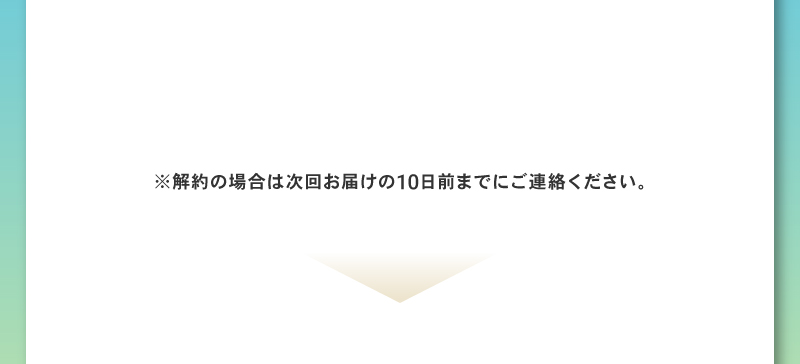 定期便 初回限定60％OFF 