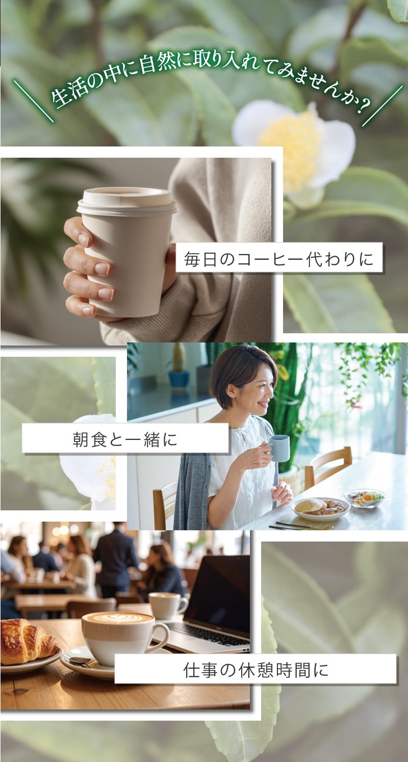 生活の中に取り入れてみませんか？

