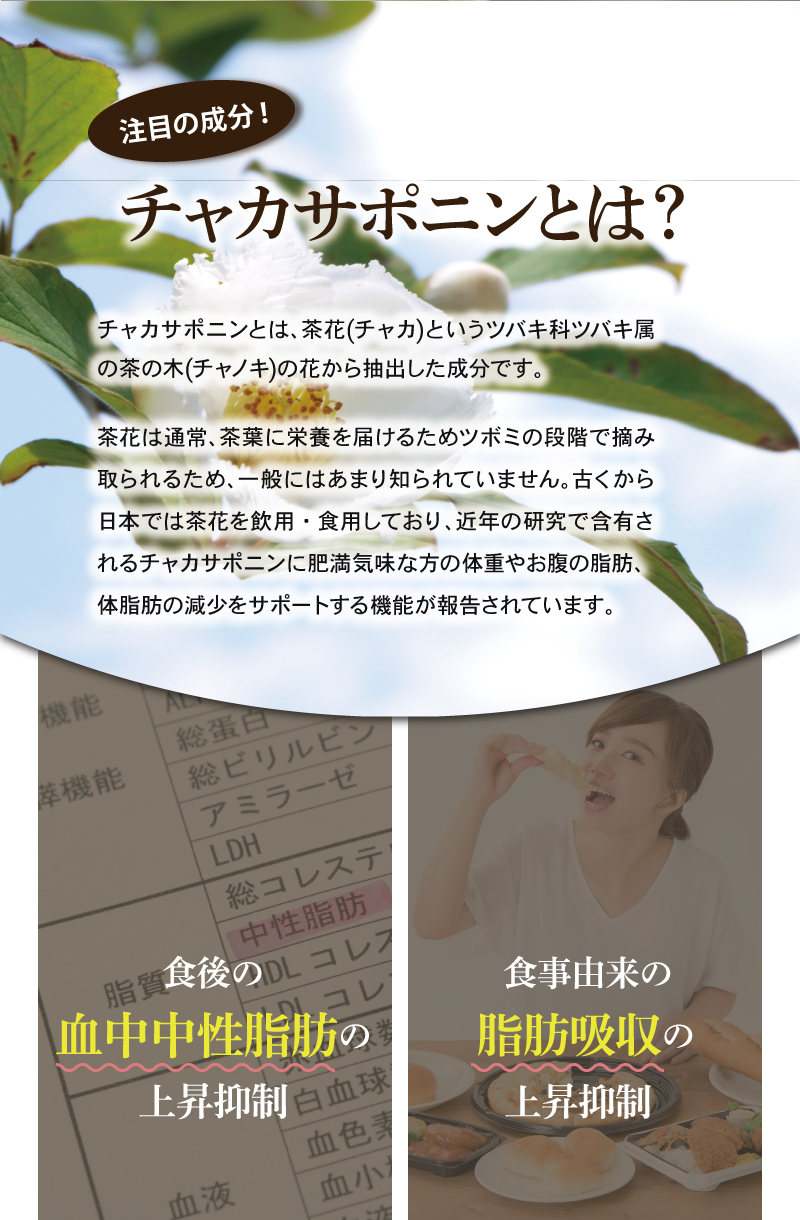 注目の成分、チャカサポニンとは？