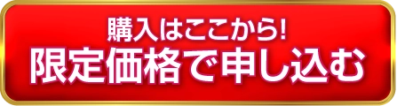 限定価格で申し込む