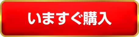 限定価格で申し込む