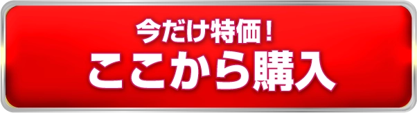 限定価格で申し込む