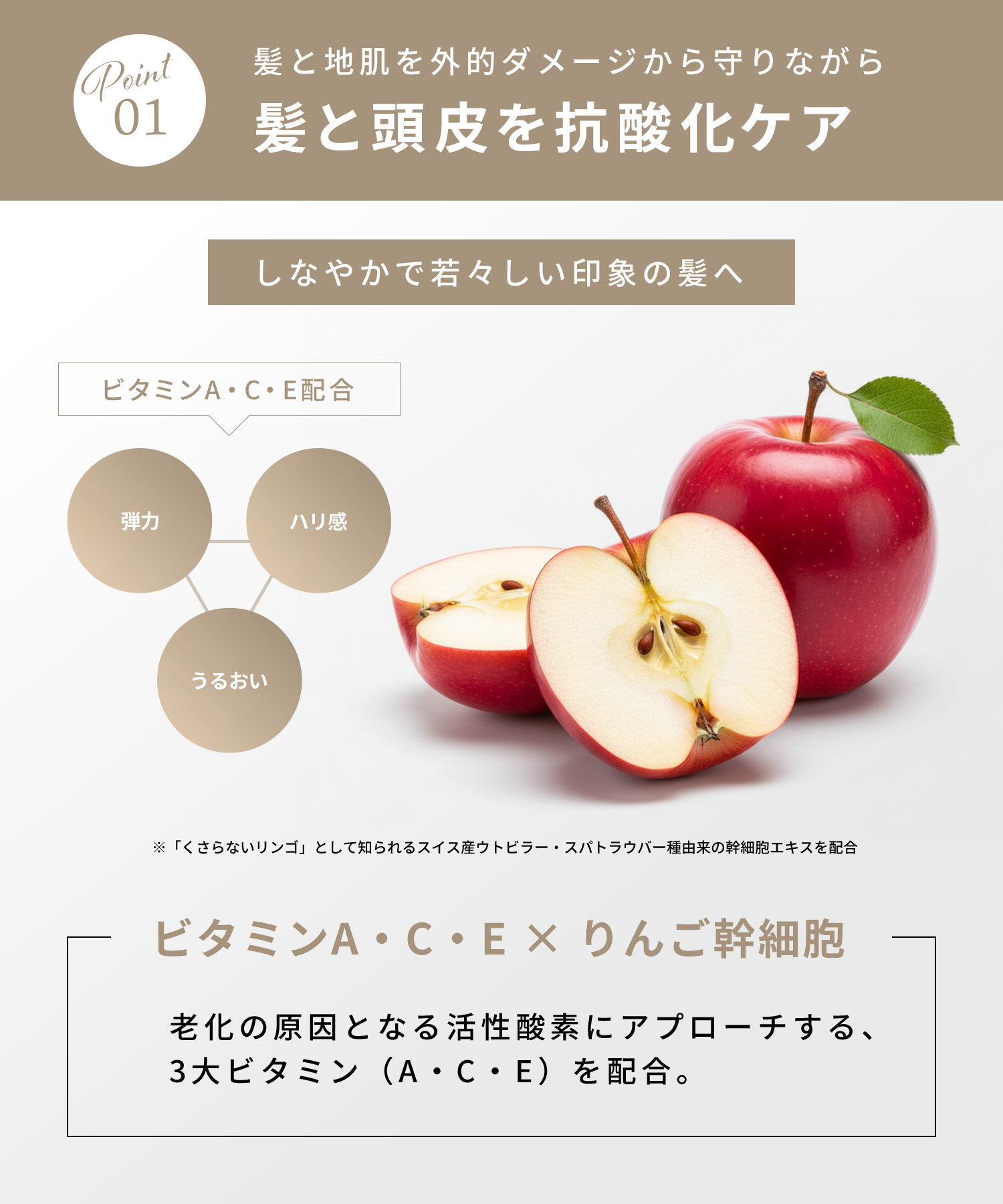 agea Lotion<br><font size=1>ヘアミスト 150ml</font>