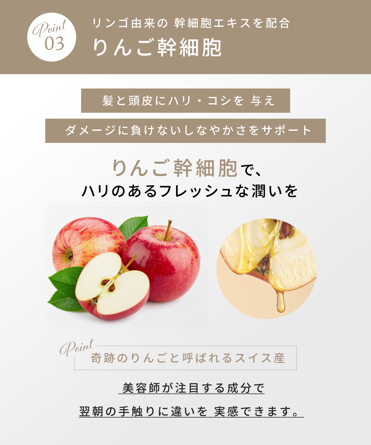 agea Lotion<br><font size=1>ヘアミスト 500ml</font>