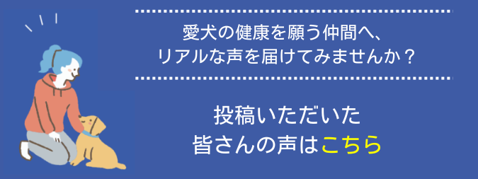 お客様の声はこちら