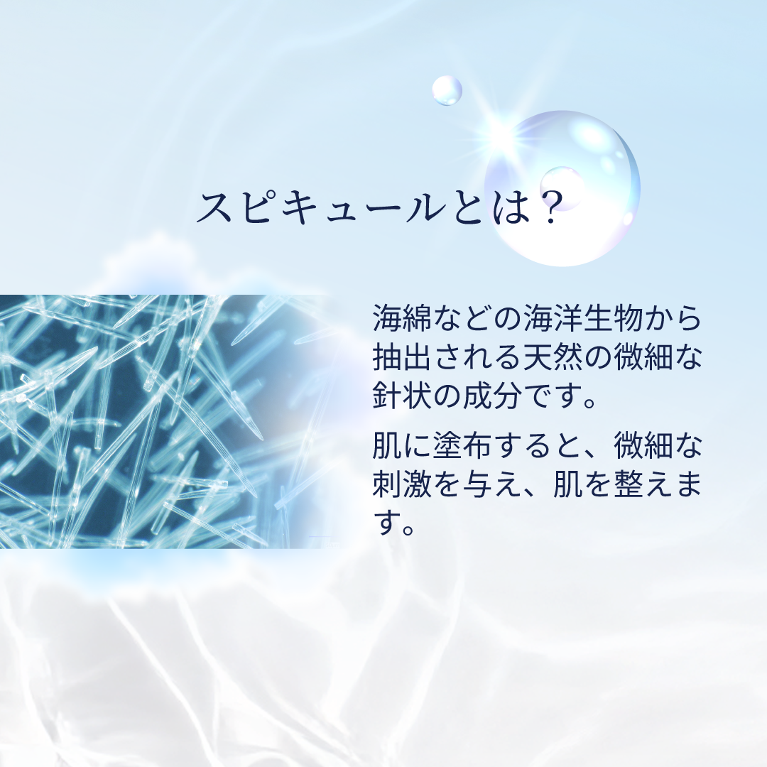 カルセドニー<br>初回限定スペシャルセット