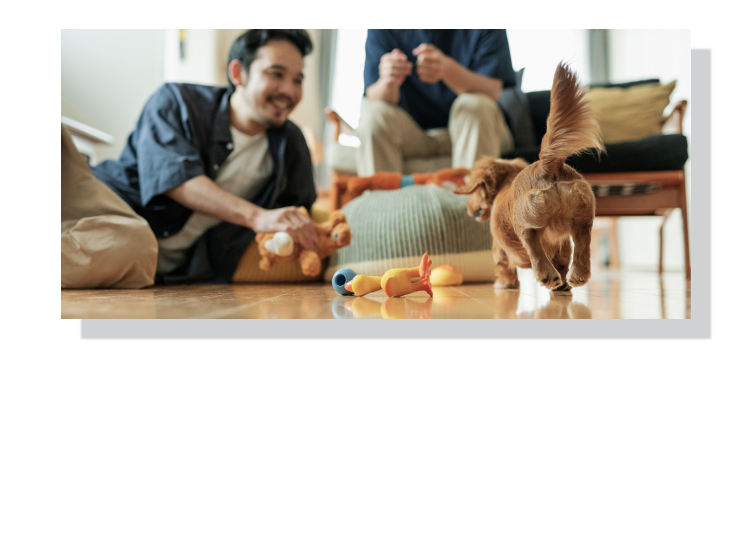 大切な人がいるリビングでも タール・ニオイ残り0。周囲を気にせず「家シーシャ」を楽しめます。