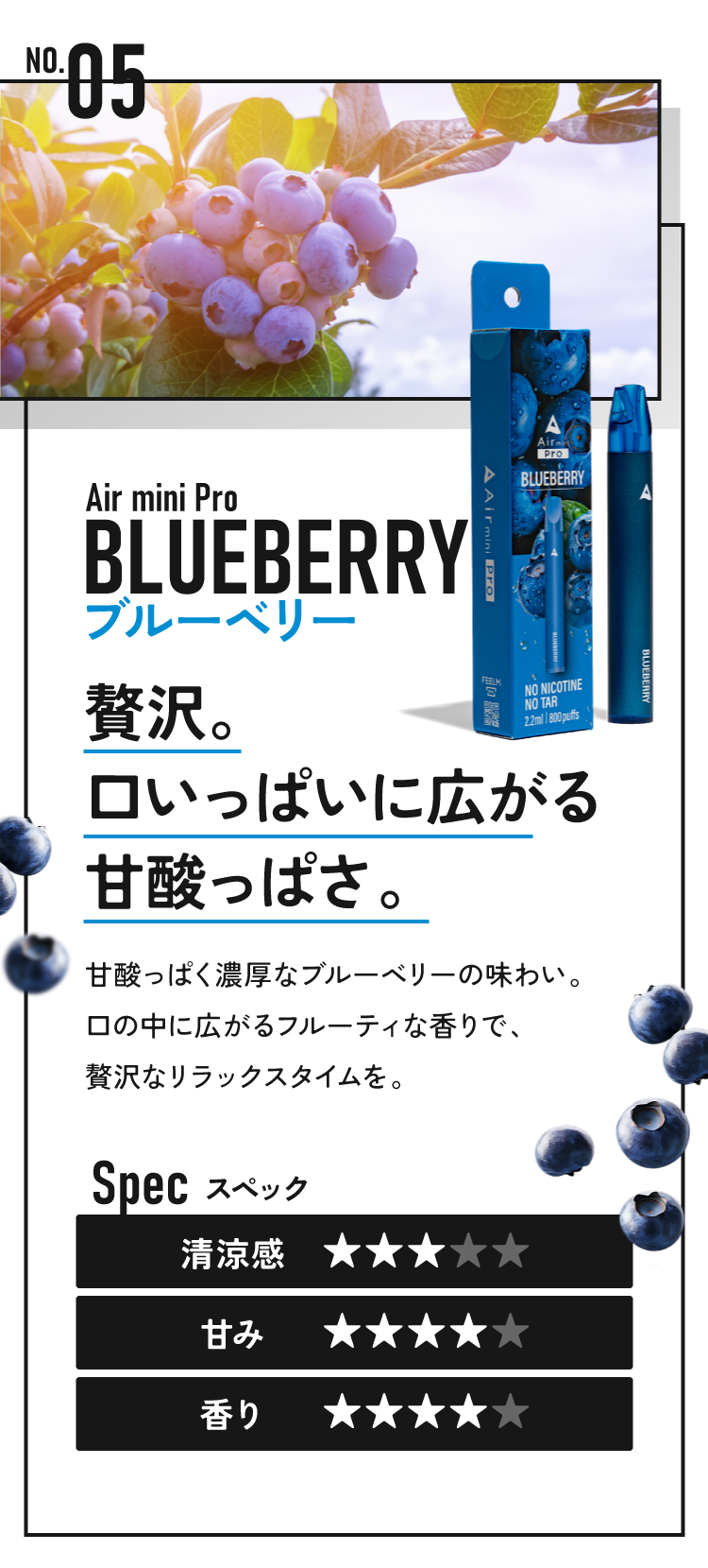 ブルーベリー 贅沢。口いっぱいに広がる甘酸っぱさ。