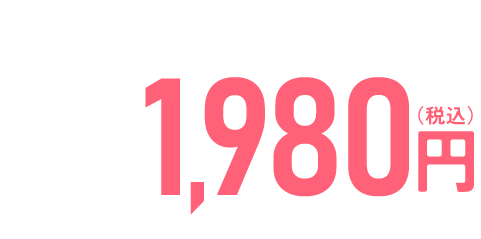 初回特別価格 2本 1,980円(税込) 1本あたり990円