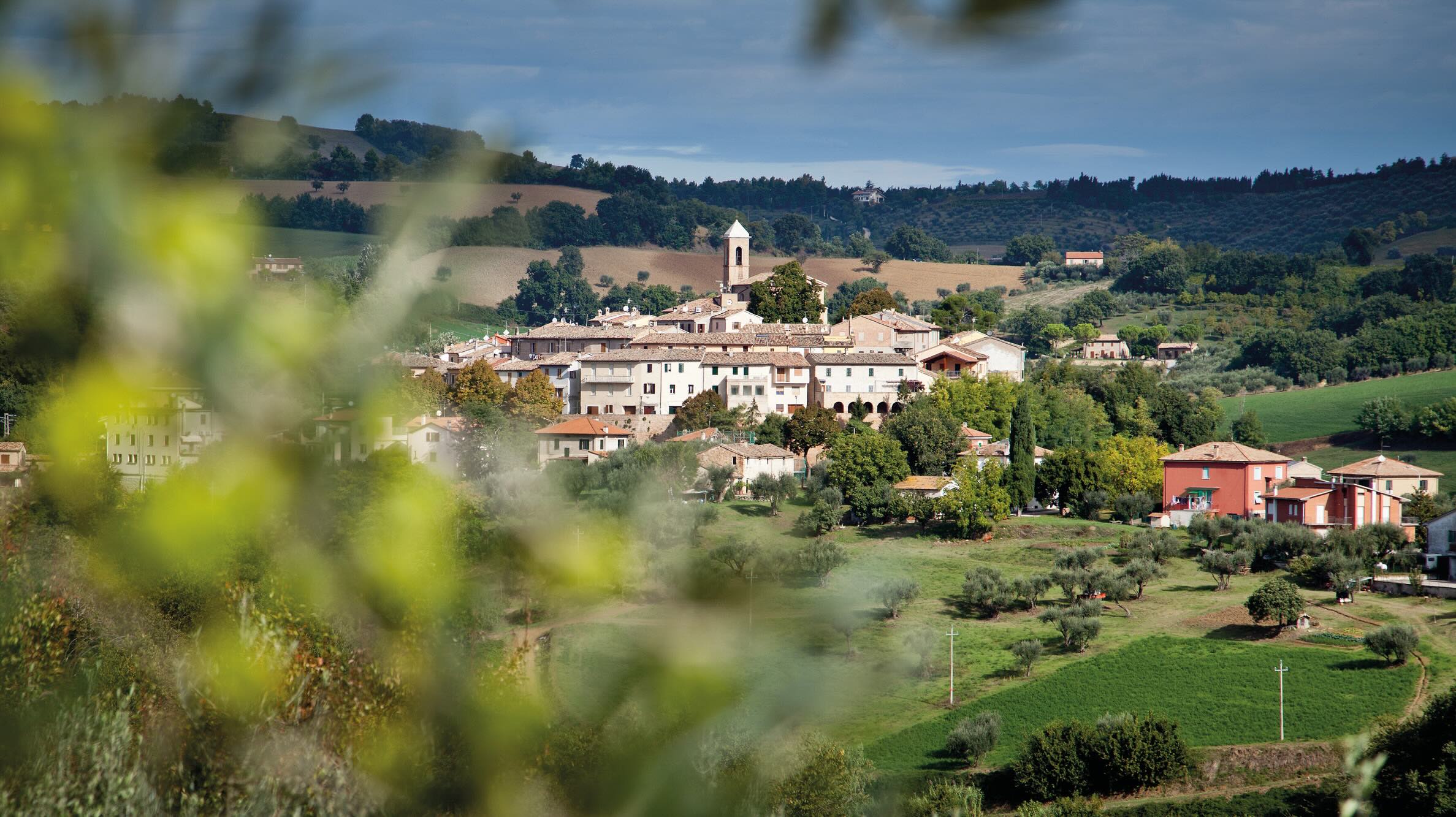 エクストラバージンオリーブオイル【アレッサンドラ】184g・マルケ産