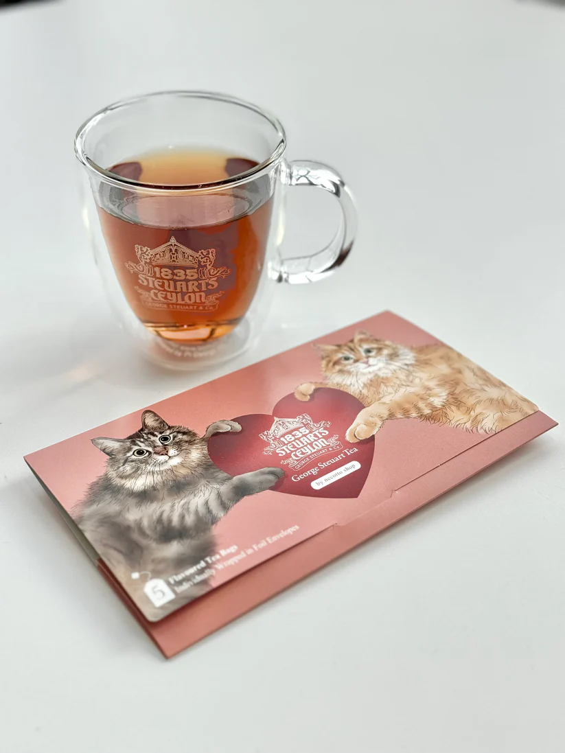 猫封筒 (necotto shopコラボ)