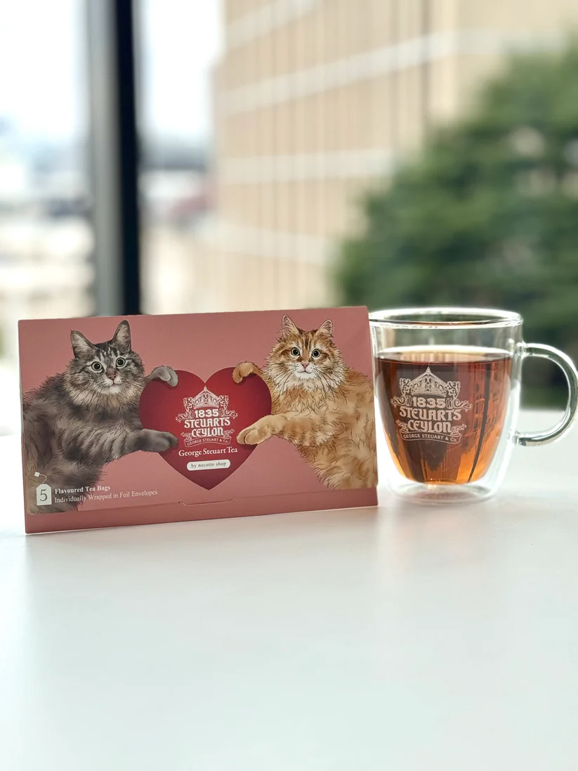 猫封筒 (necotto shopコラボ)
