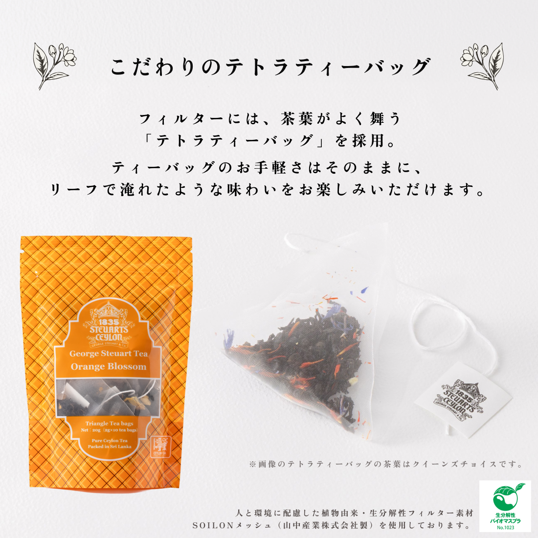 【テトラティーバッグ】オレンジブロッサム10包（袋入り）