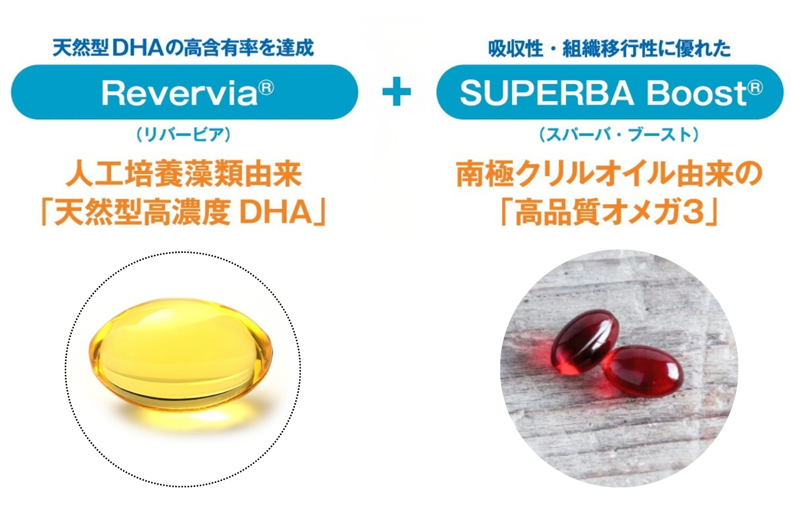 DHA COMPLEXの独自設計イメージ
