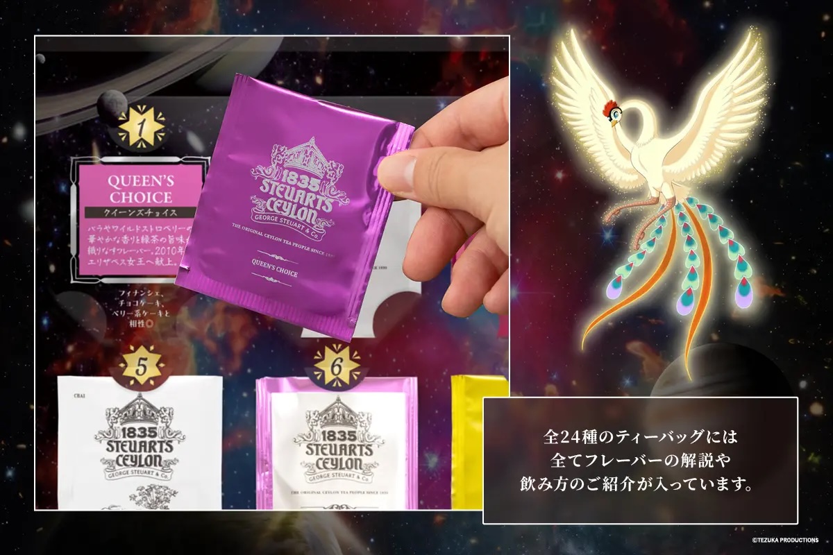 折り畳み式パッケージ