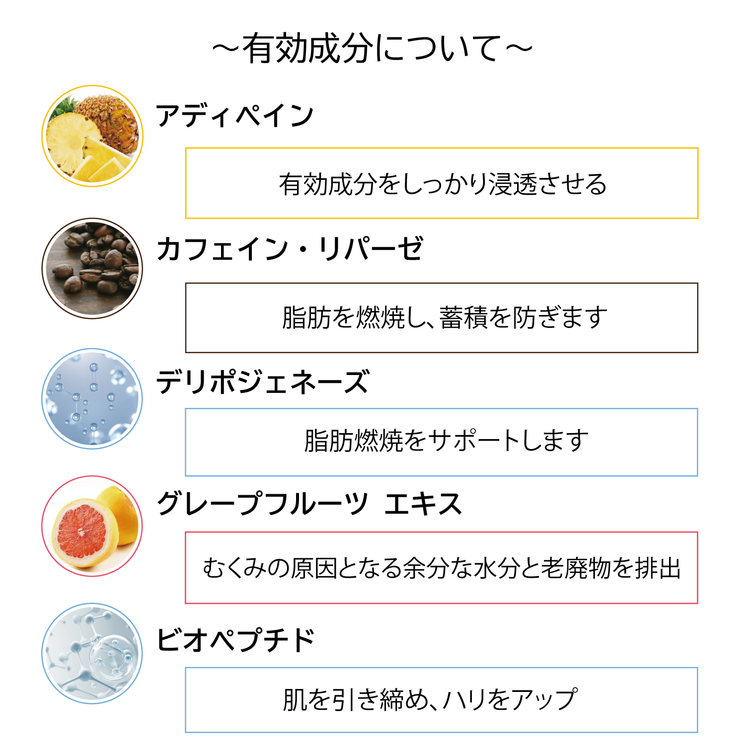 ピュア マンスール ラピドゥ