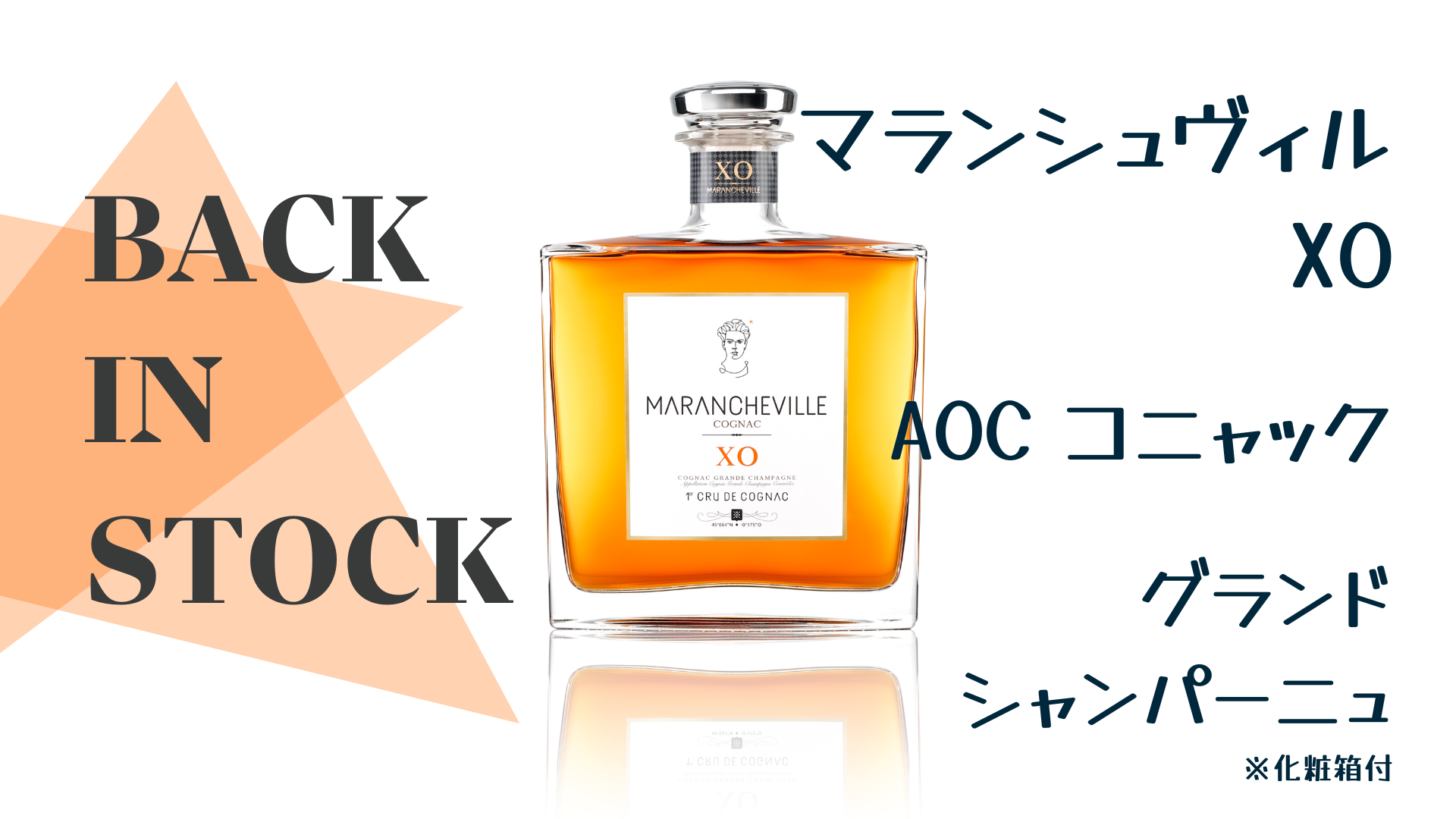 2024年11月リリース商品のお知らせ