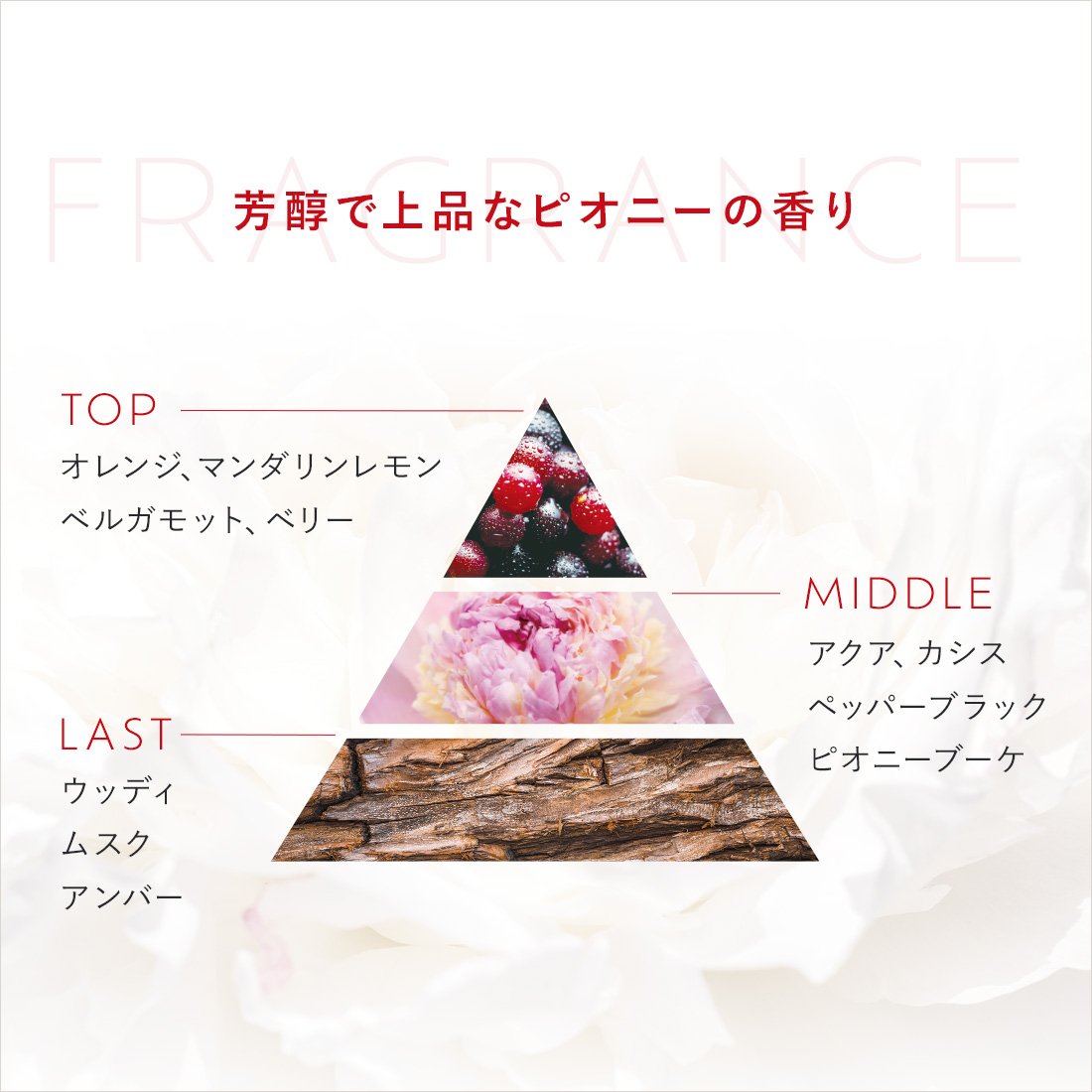 【定期】ウィークリーシステムトリートメント_週1ケアコース