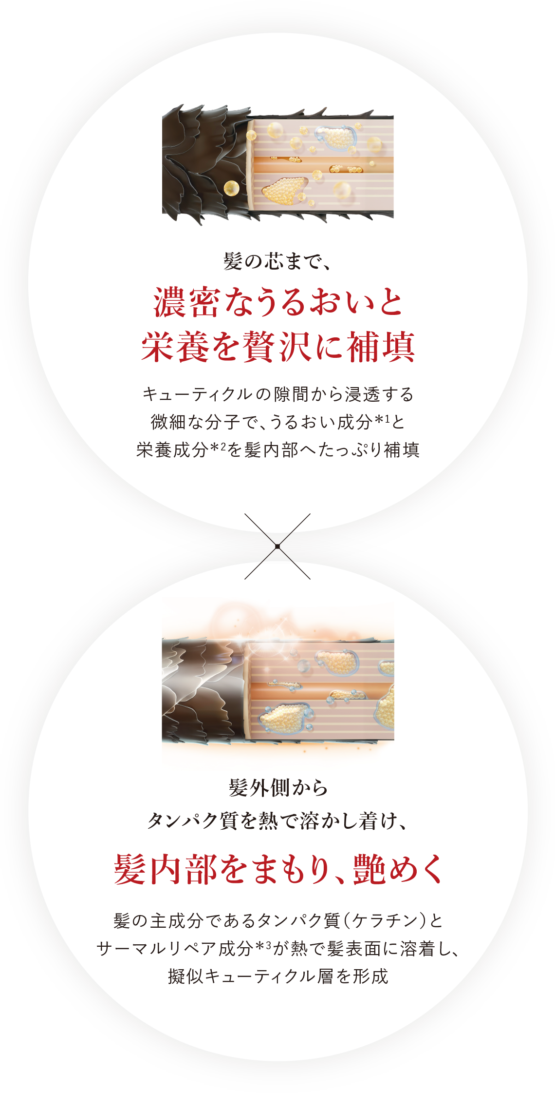 allume ウィークリ―システムトリートメント セット