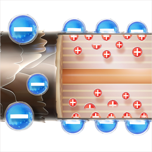 プラスとマイナスのイオンが髪表面に整列するイメージ