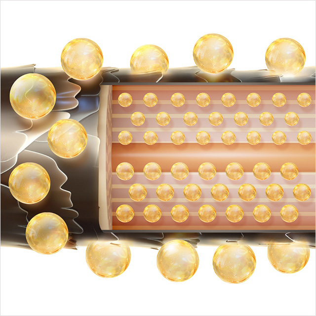 髪内部と表面を多様なケラチンで満たすイメージ