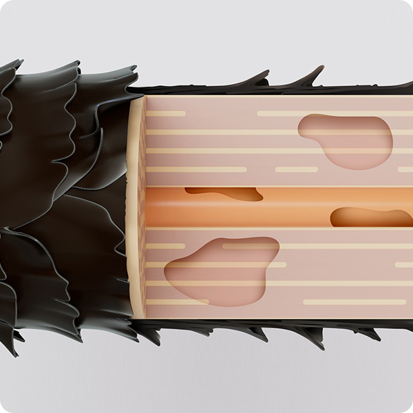 シャンプーで整った髪の状態