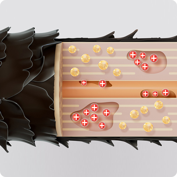 プラスイオンケラチンがダメージ部に吸着し、内部が満ちた状態