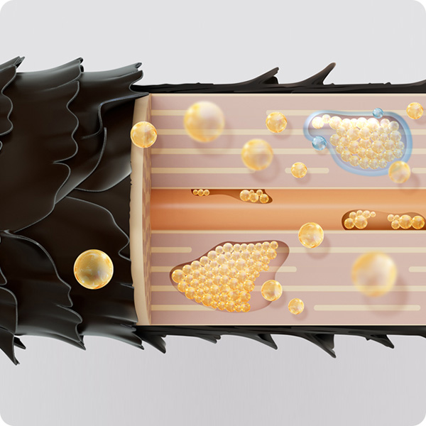 潤い成分が髪内部にみたされている様子