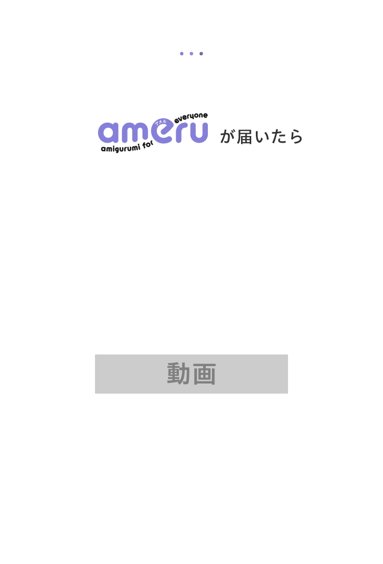 ameruが届いたら