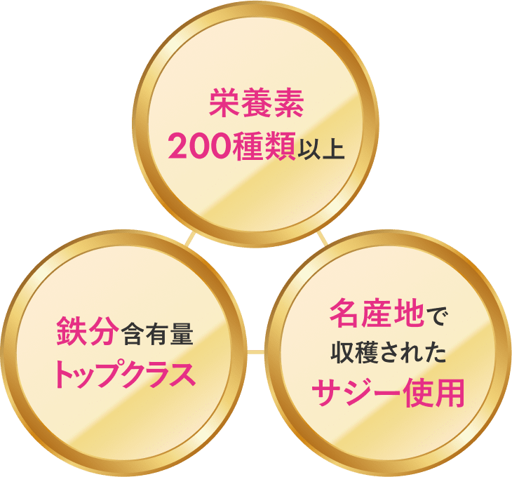栄養素200種類以上 鉄分含有量トップクラス 名産地で収穫されたサジー使用