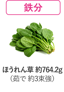 鉄分