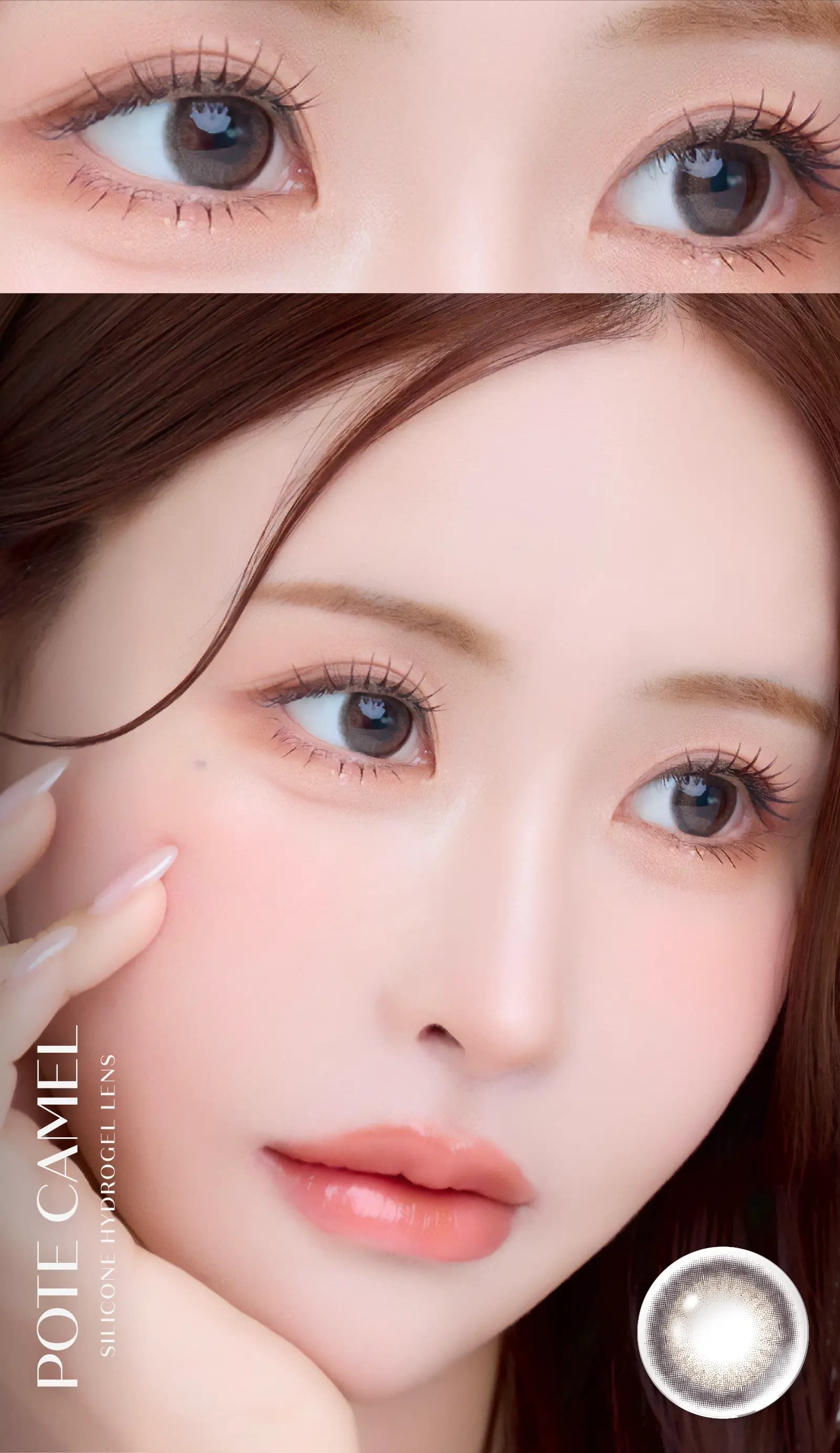 説明文