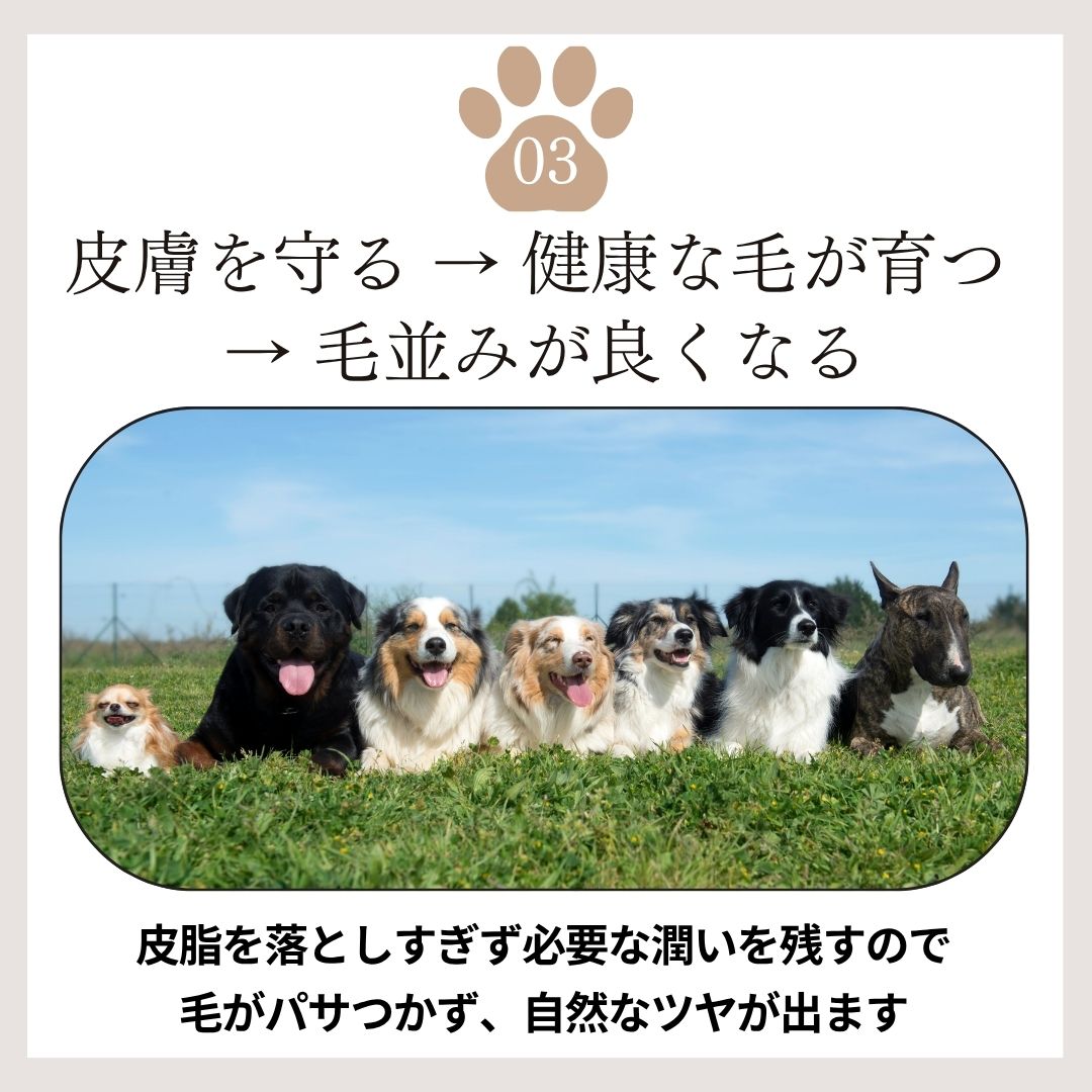 もふもふ 完全無添加ペット用SOAP Satochikaクオリティーコールドプロセス製法