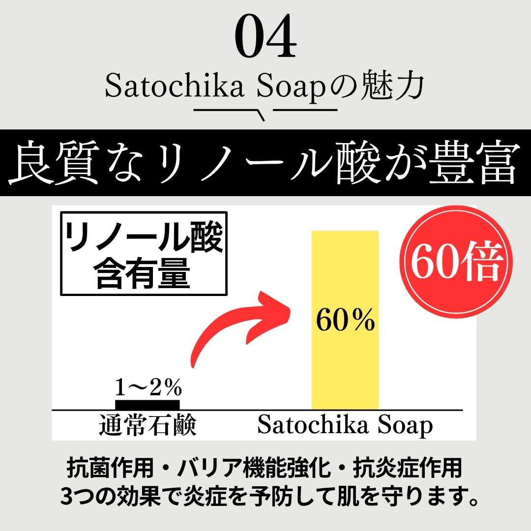 Satochika Soap 「大豆」　史上最高の洗顔体験　1100円お試しセット！！楽天1番人気の泡立てネットとセット！送料無料